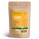 Bio Ananas Fruchtpulver (100g)