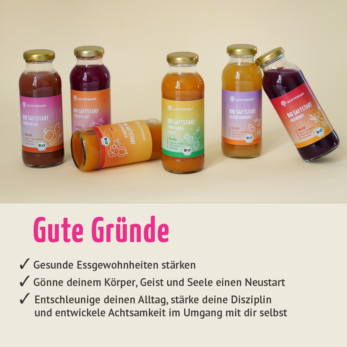 Saftstart Bio Fastenkur 3 Tage (18 Flaschen)