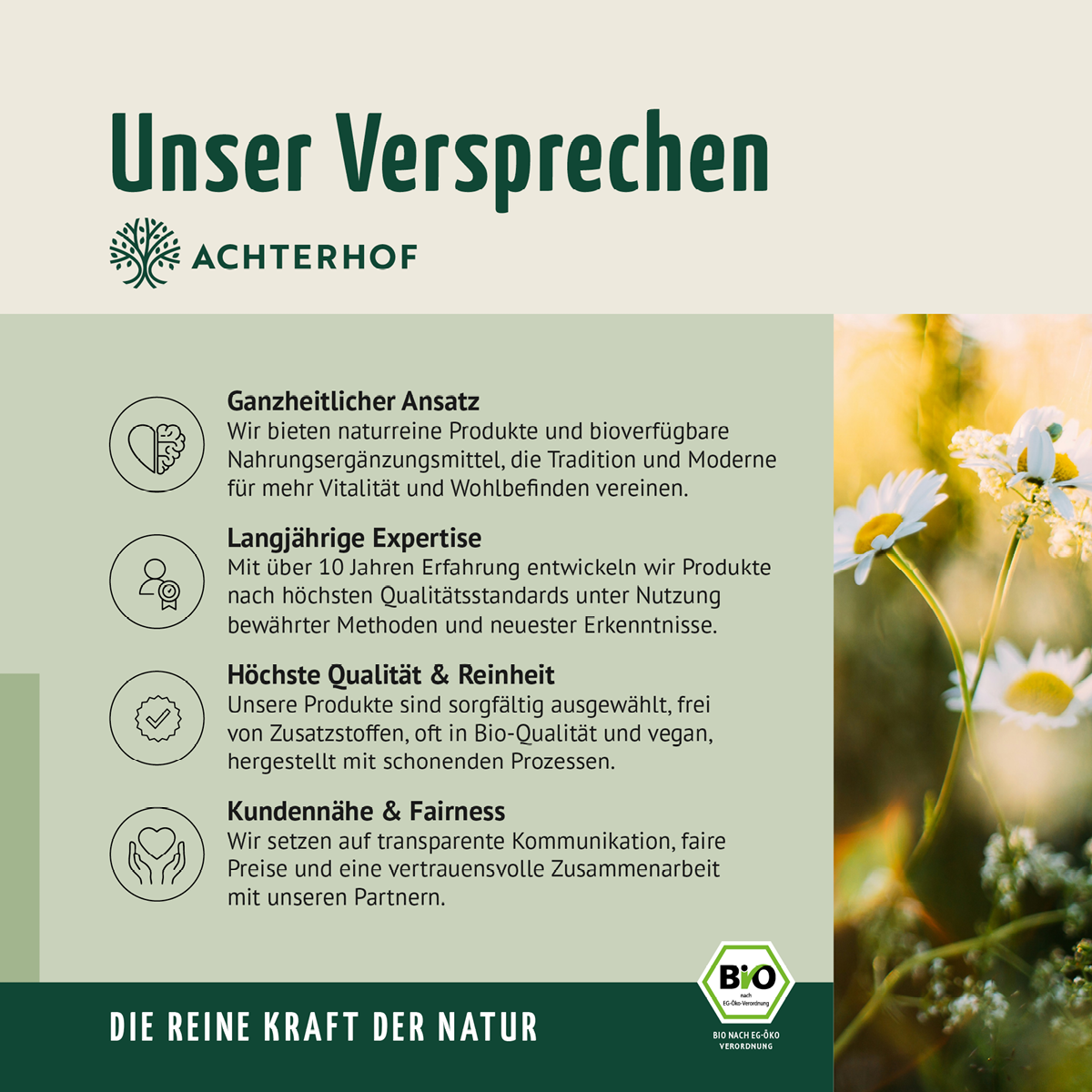 Saftzeit Bio Fastenkur 5 Tage (30 Flaschen)