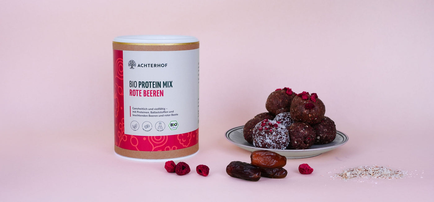 Energy Balls mit Protein Mix rote Beeren