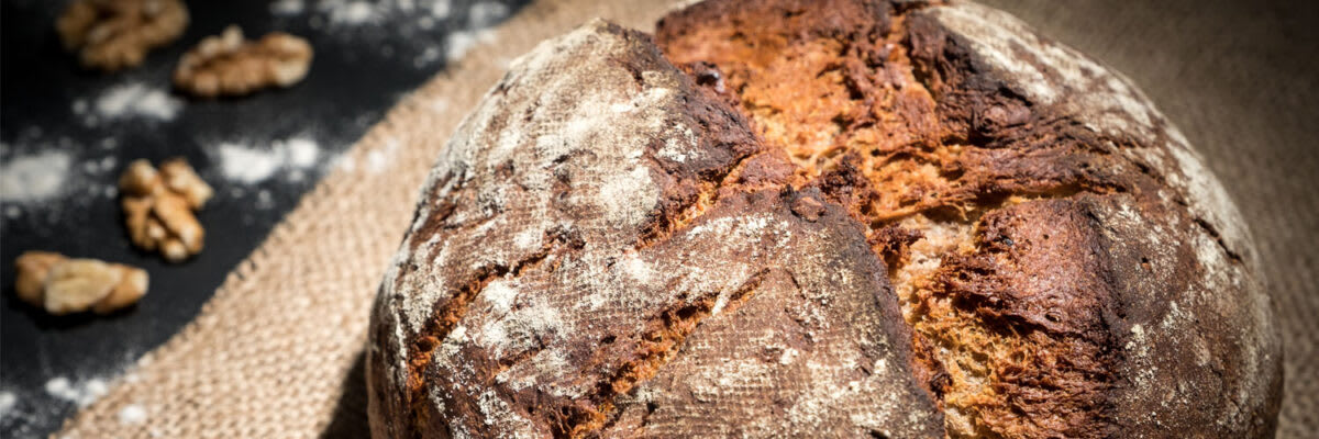 Nussbrot 1500x500