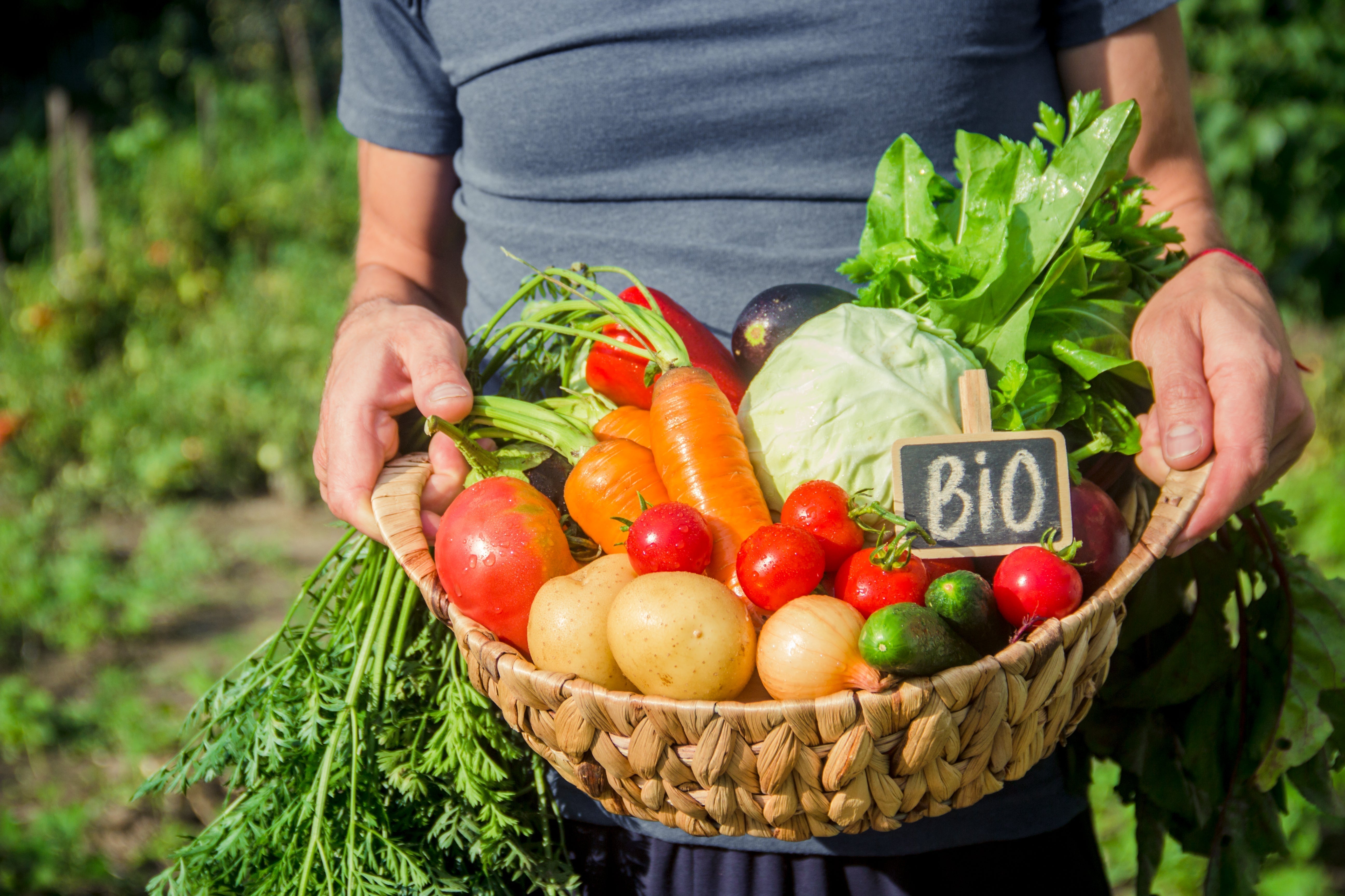 Was bedeutet Bio wirklich? EU-Bio, Herkunft und Qualität einfach erklärt