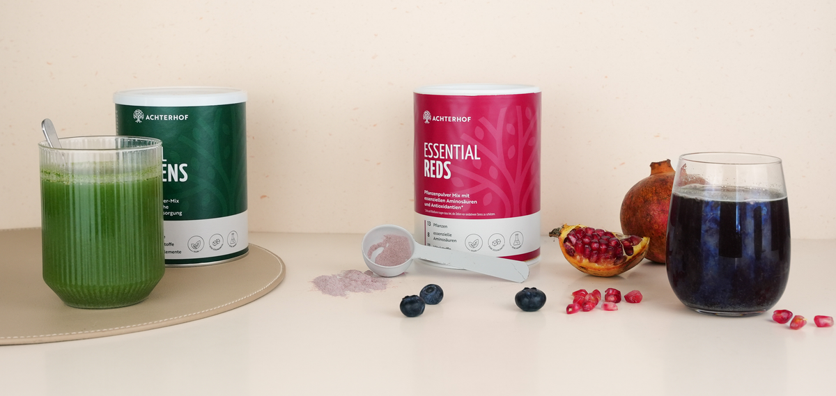 1 Jahr Vital Greens – 15 % für dich!