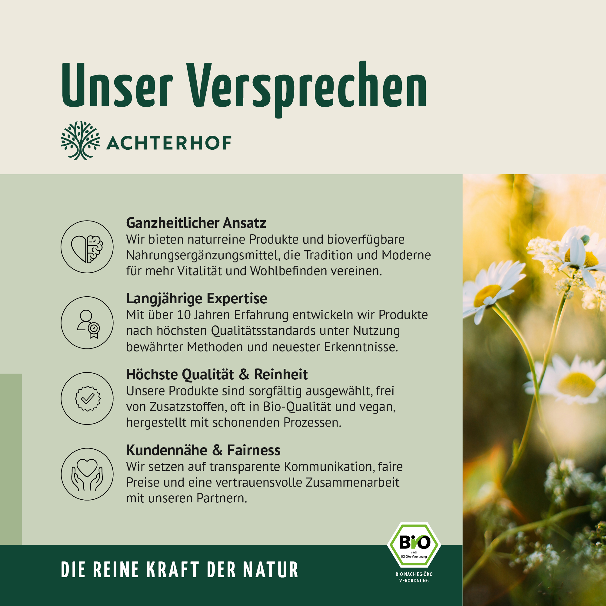 Bio Gerstengras Pulver (150g)