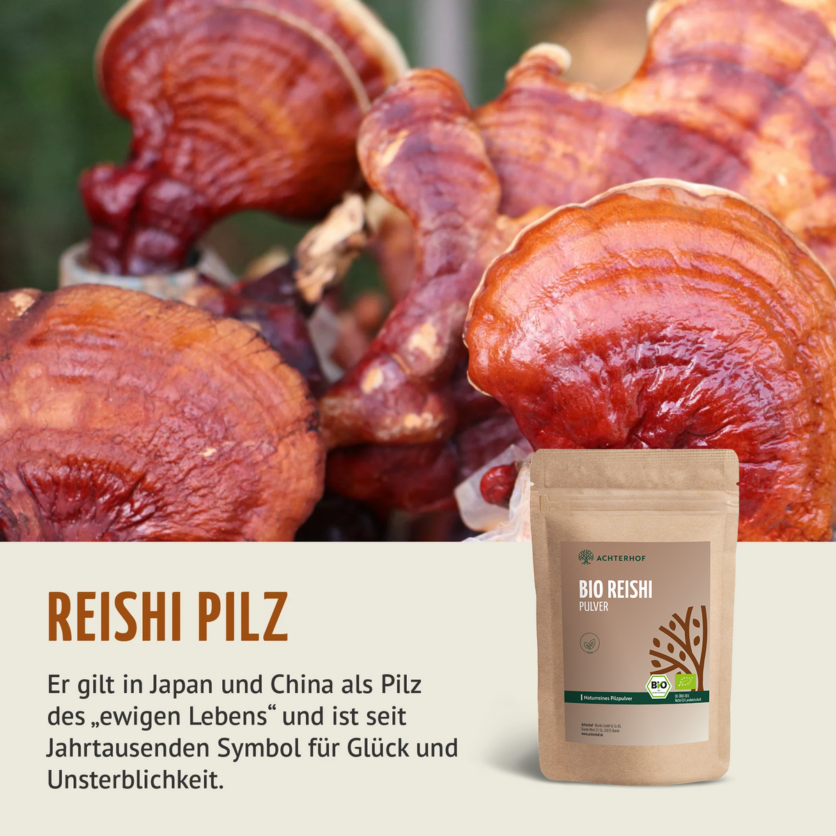 Bio Reishi Pilzpulver (100g)