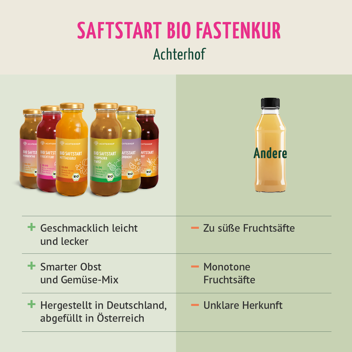 Saftstart Bio Fastenkur 5 Tage (30 Flaschen)