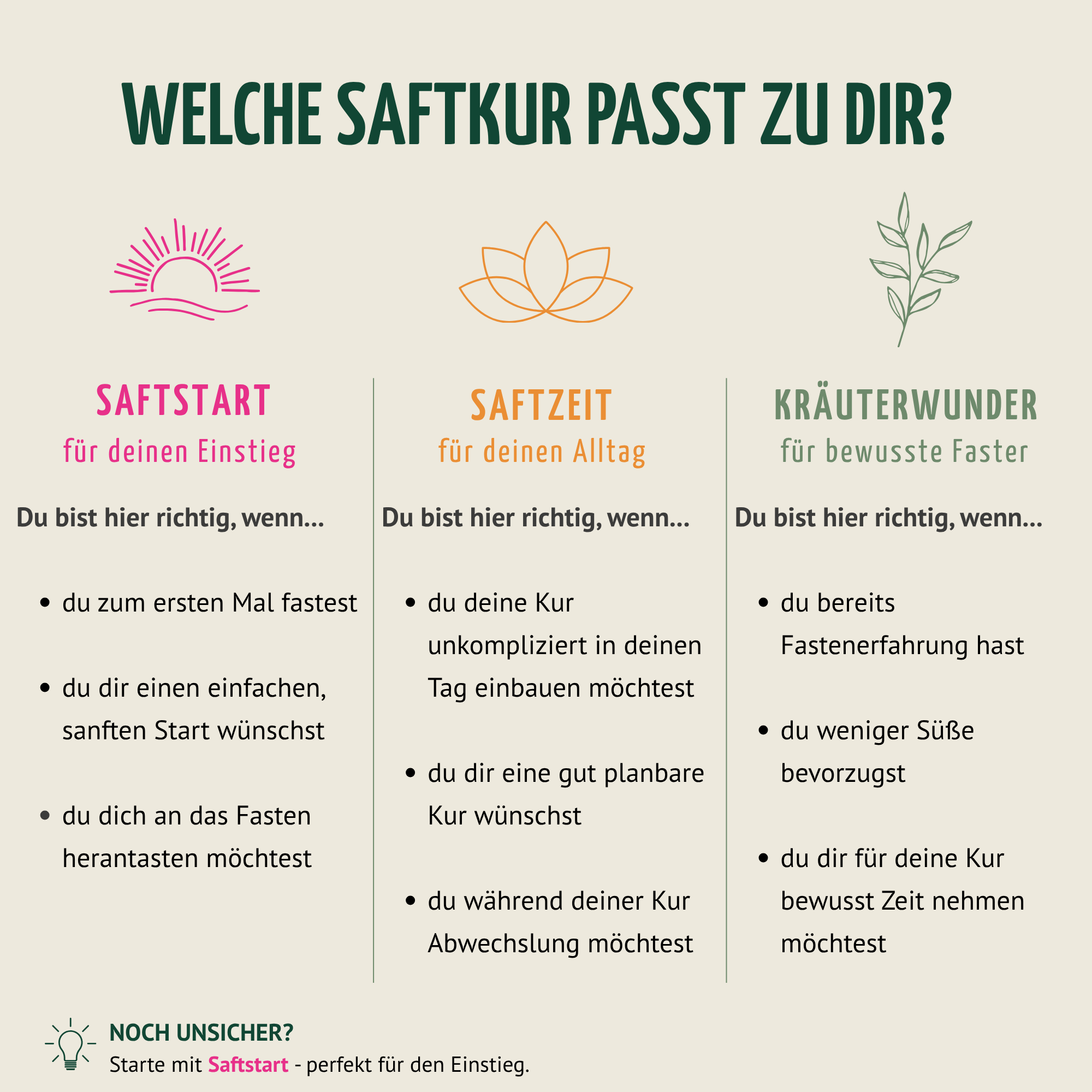 Kräuterwunder Bio Fastenkur 5 Tage (30 Flaschen)